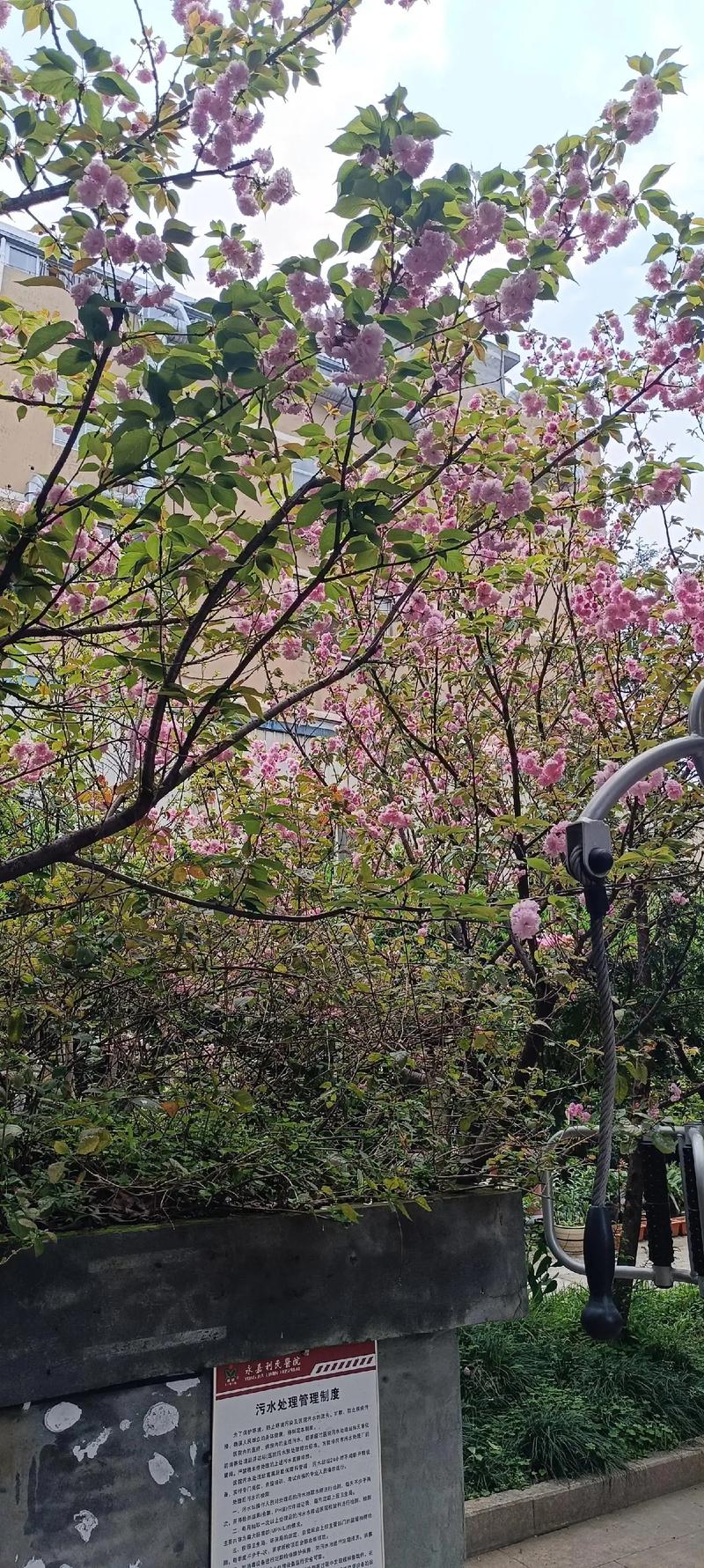 医院电话地址